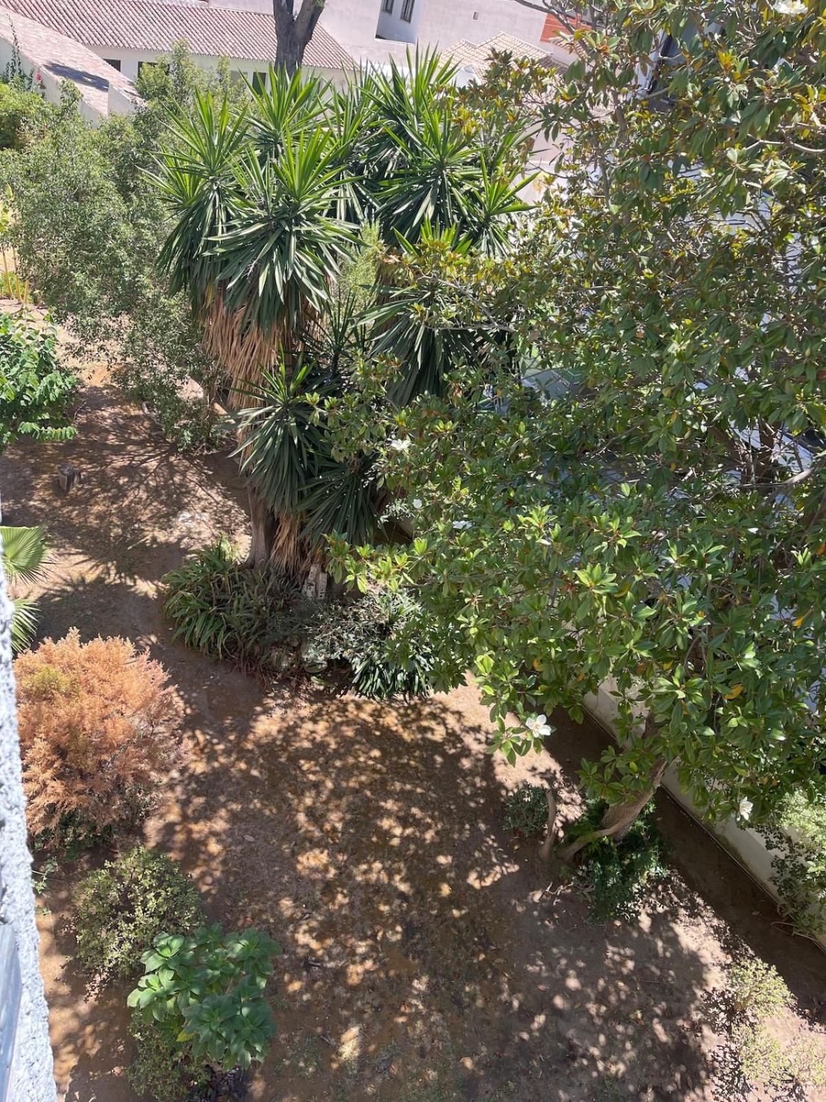 Apartment Beautiful 3 Bedrooms, 2 Baths, Balcony, *